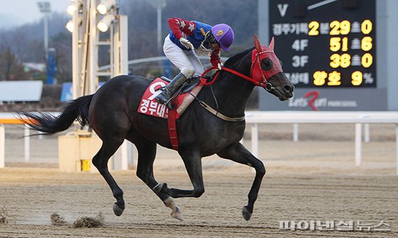 경부대로 [한국마사회 제공] /사진=fnDB