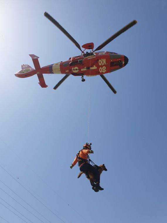 소방청 중앙119구조본부 대원이 인명구조견과 함께 헬기에서 하강 훈련을 하고 있다. 소방청 제공