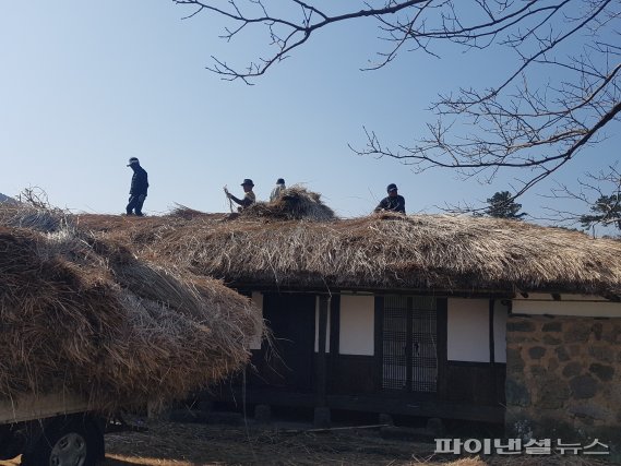 [fn포토] “묵은 띠 걷어내고” 제주 전통 초가 새 봄 단장