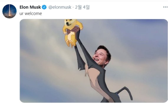 머스크 트위터 갈무리 © 뉴스1
