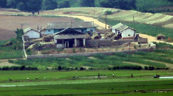 경기도 파주 오두산 전망대에서 바라본 북한 개풍군 모습. /사진=뉴스1