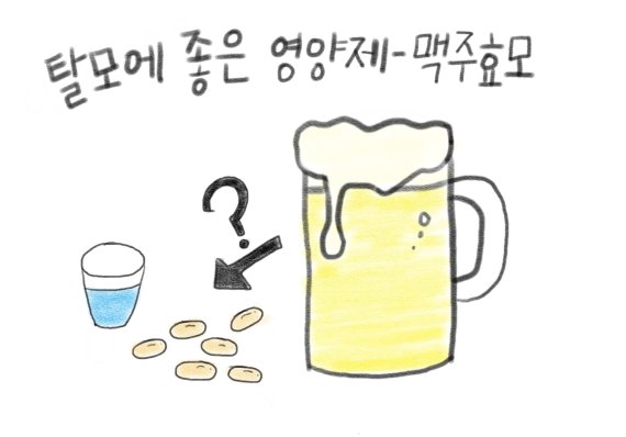 탈모 예방에 좋은 영양제 - 맥주 효모 편