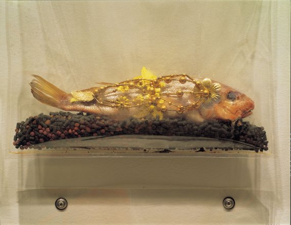[서울=뉴시스] 이불, '장엄한 광채' (부분), 1991/1997, 생선, 시퀸, 과망간산칼륨,폴리에스테르백, 《프로젝트 57: 이불/치에 마쓰이》, 뉴욕 현대미술관,미국. 사진: 로버트 푸글리시. 작가 제공. 2021.3.02. photo@newsis.com