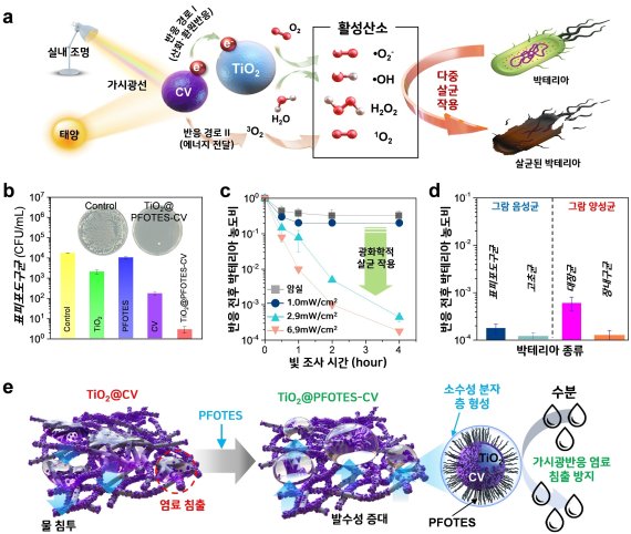 가시광반응 이산화티탄-유기염료 항균 필터 작동 원리 및 성능(제공: 한국생산기술연구원 최동윤 선임연구원) © 뉴스1