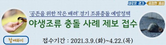 경기도, 투명 인공구조물 '조류충돌 사례' 도민제보