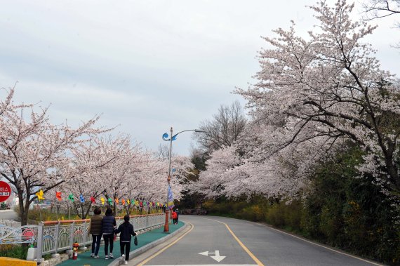 목포시, 유달산 봄 축제 전면 취소