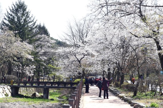 김제시, 모악산 권역 관광 활성화 시동