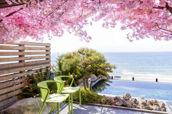 파라다이스호텔 부산 '봄꽃스파'© 뉴스1