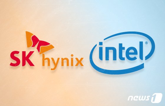 © News1 최수아 디자이너 /사진=뉴스1