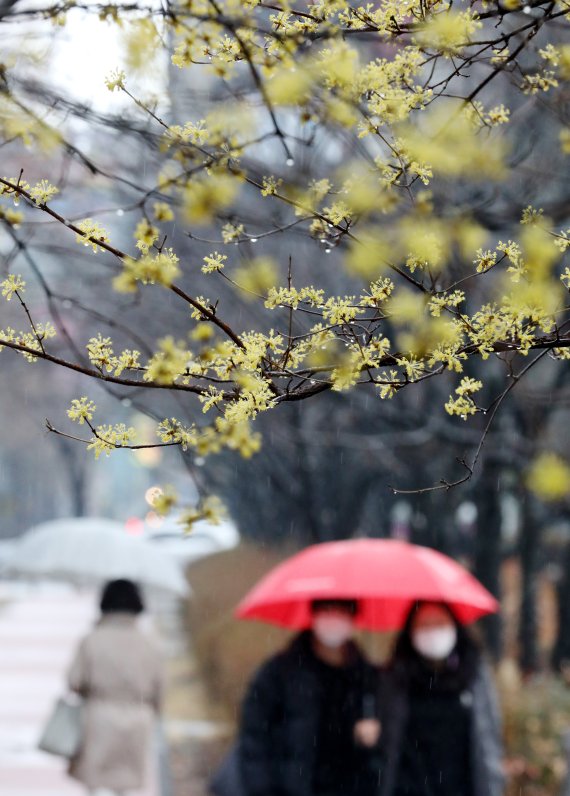 오늘 15일 저녁 전남 해안을 시작으로 밤부터 중부지방과 전라권, 제주도에 비가 내리겠다. 내일 16일 아침까지 예상 강수량은 제주도 10∼40㎜, 전남권 5∼10㎜, 중부지방·전북지방 5mm 다. /사진=뉴스1