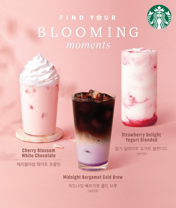벚꽃 성큼...스타벅스, 체리블라썸 시즌 시작