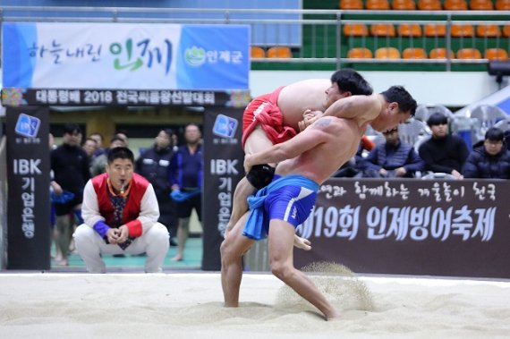  인제군 스포츠마케팅 사업...지역경제유발효과 100억 추진