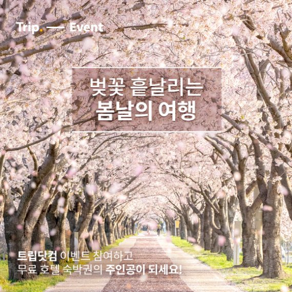 트립닷컴, '럭키 드로우' 이벤트 /사진=트립닷컴