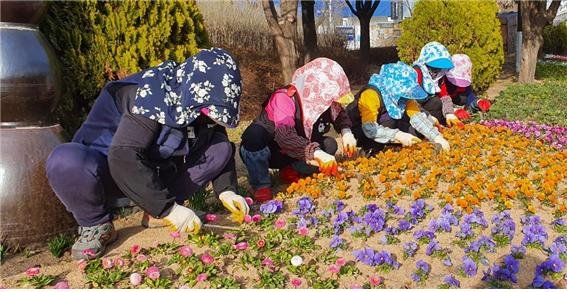 인천시는 월미공원에 봄꽃을 새로 심고 봄맞이 새단장을 마쳤다.