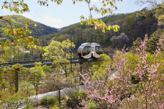 26일 개원하는 화담숲. 한국관광100선에 2회 연속 재선정된 화담숲은 수도권 인근 힐링 수목원으로 걷기 편한 산책길과 함께 다양한 봄 야생화를 감상할수 있다. /사진=곤지암리조트