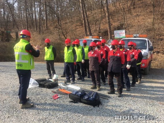 과천시 매미나방 알집제거. 사진제공=과천시