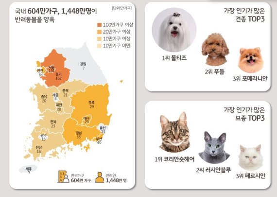 © 뉴스1 /사진=뉴스1