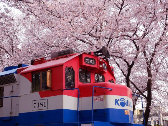 열차 좌석지정 기능 선호하는 이용객 증가 /사진=트립닷컴