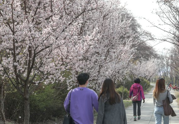 지난 26일 서울 영등포구 여의도 윤중로에서 시민들이 산책을 즐기고 있다. /사진=뉴스1