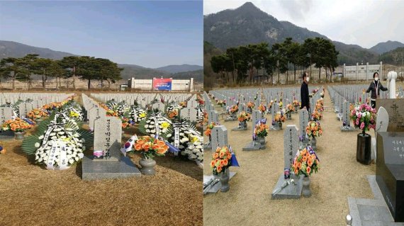 대전현충원 천안함 묘역에 놓인 사진. (왼쪽 26일 사진, 오른쪽 27일 사진)/전준영 회장 페이스북 © 뉴스1