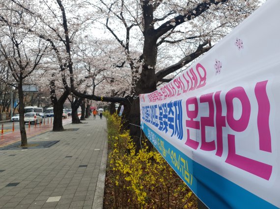 [서울=뉴시스]이윤희 기자 = 27일 찾은 서울 영등포구 여의도 윤중로의 모습.