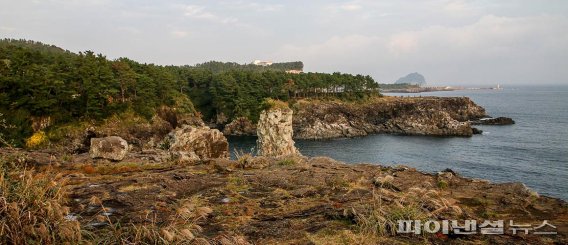 서귀포 70리 해안지형의 교과서…제주올레 7코스 ‘최고’