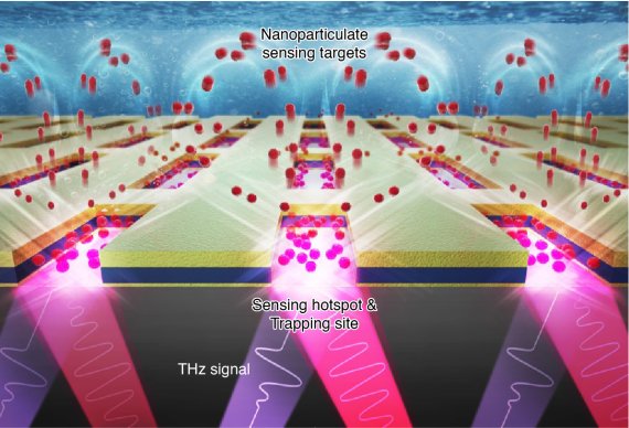 수직방향의 금속전극(금색)은 전기 집게(금색·파랑·금색 적층구조)의 역할을 해 물속에서 부유하는 미량의 초미세 플라스틱 및 생체분자 모사체(붉은색 점)을 포집한다. 수평방향의 나노갭 전극(직사각형 움푹패인 구조물)은 초미세 플라스틱 입자의 양과 종류에 따라 테라헤르츠 신호가 변하는 것을 민감하게 측정한다. KIST 제공