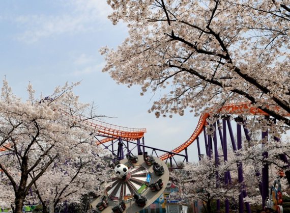 취향따라 골라 즐기는 이색 봄꽃 나들이