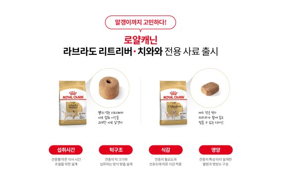 작은 턱을 가진 치와와, 급하게 먹는 리트리버에게 딱 맞는 사료는?