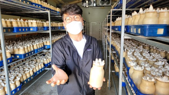 박상신 상신농산 대표가 자신이 생산한 새송이버섯의 장점을 설명하고 있다.© 뉴스1