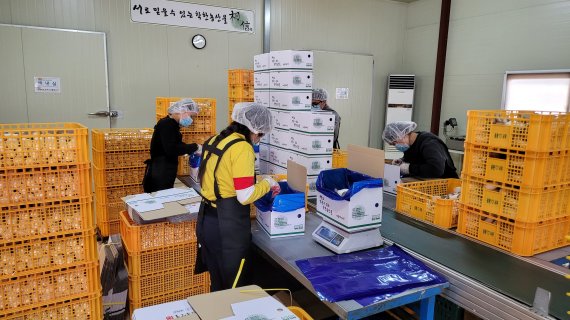 생산한 새송이버섯 포장 모습. 플라스틱상자에는 박상신 대표의 자녀인 용환과 시우의 이름이 써있다.© 뉴스1