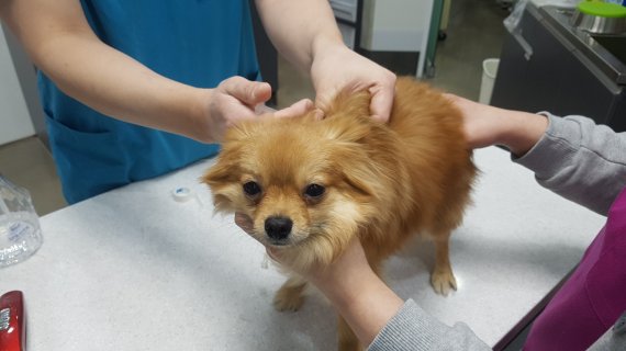 특정 기사 내용과 관계 없음. /사진=뉴스1