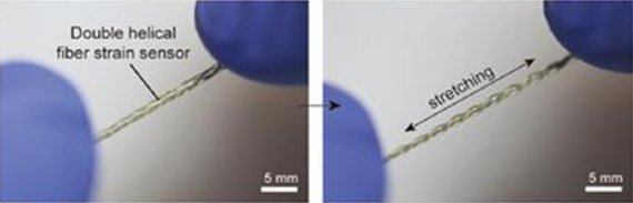 섬유형 센서가 당겨지면 센서가 지닌 전기적 특성이 변화해 가해진 변형을 효율적으로 감지할 수 있다. DGIST 제공