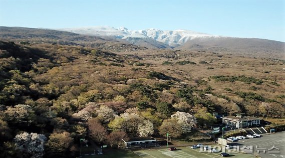 한라산국립공원 관음사 야영장지구