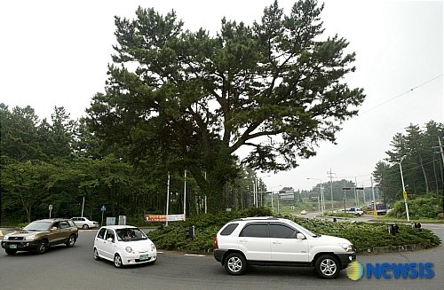 제주대 학생 33명 부상…대형 화물차, 5.16도로 운행 제한 주장