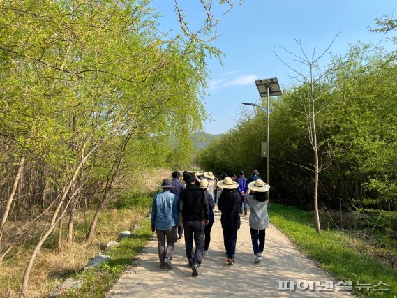 양평군 양서면 두물머리초록단 프로그램. 사진제공=양평군