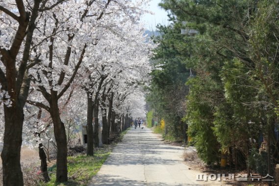 양평 물소리길. 사진제공=양평군