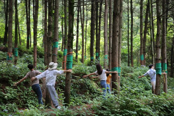 산림치유원, 사회복지사 '번아웃극복 프로그램'운영