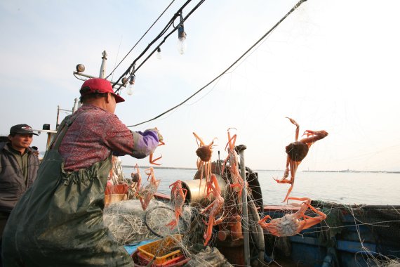 수산업경영인.뉴시스