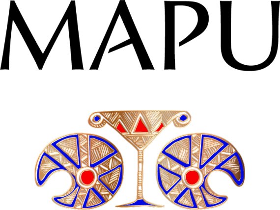 로췰드의 노하우와 칠레 최고 떼루아가 빚은 '마푸' 와인