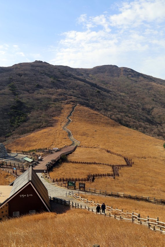 신불산과 간월산 사이에 펼쳐진 간월재 억새군락지