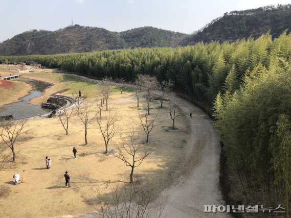 울산 태화강 국가정원의 십리대숲. 2019년 7월 지정된 '태화강 국가정원'의 옛 이름은 2010년 전까지 농경지였던 ‘태화들’로 불렸다. 현재 십리대숲의 이름도 '십리대밭'이었다.