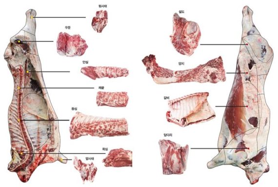 소고기 부위별 분할 사진. /사진=농진청