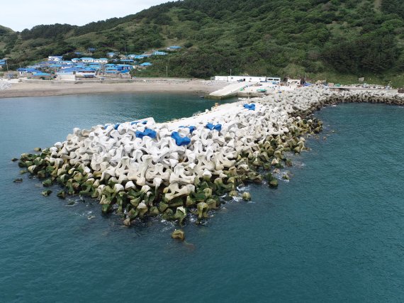 '삼시세끼' 만재도 주민 320년만에 소원 이뤘다