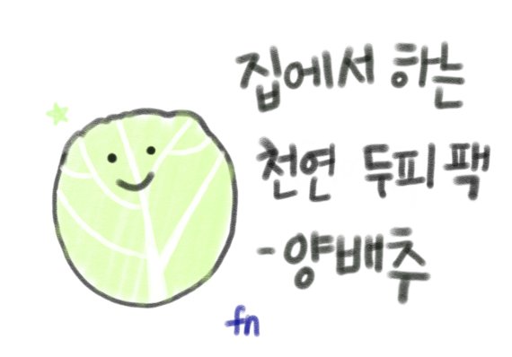 집에서 하는 천연 두피팩-양배추