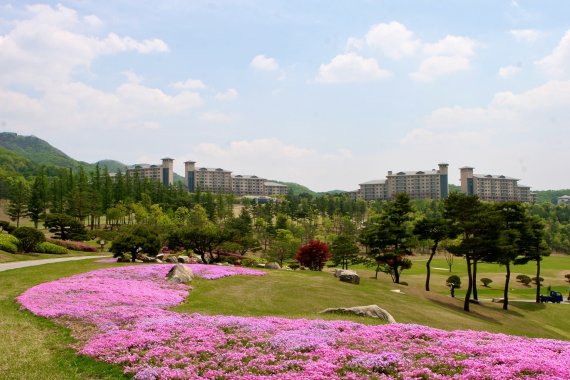 오크밸리, 두근두근 설레는 봄맞이 이색 체험