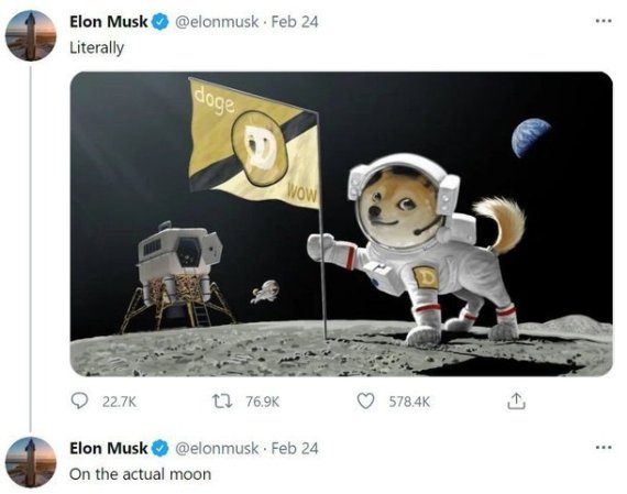 도지코인은 일론 머스크의 트윗에 따라 가격 변동성이 높게 나타나는 대표적인 '투기성' 코인이다. /사진=뉴스1