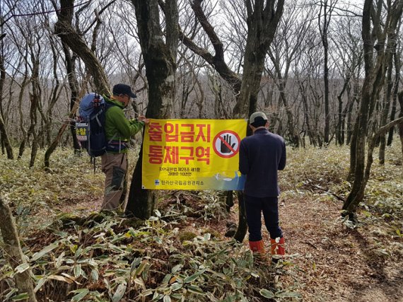 제주 한라산국립공원관리소 직원들이 출입금지 통제구역 현수막을 걸고 있다.(한라산국립공원 관리소 제공)2021.4.25/뉴스1`© News1