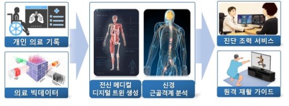 의료수준 전신 메디컬트윈 핵심 개념도. 사진=리메드