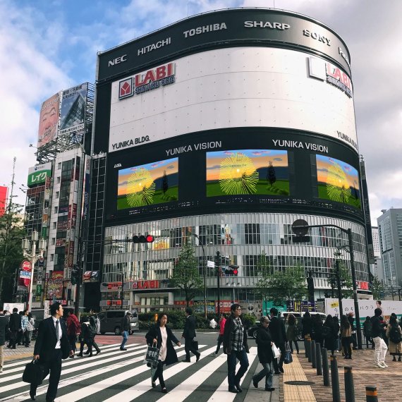 호크니의 '해돋이' 신작, 5월 한달 간 코엑스 전광판에서 상영